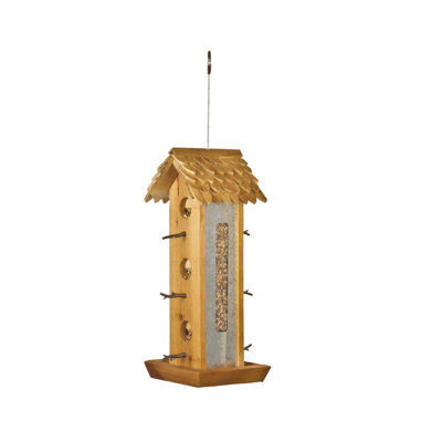 Tiny Jay Hopper Bird Feeder | Wayfair