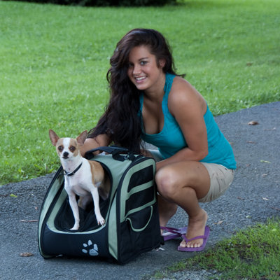Pet Gear I-GO2 Traveler Pet Carrier in Sage