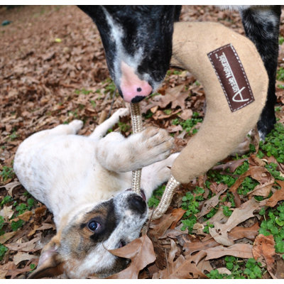 ABO Gear Boomering Dog Toy