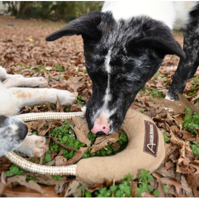 ABO Gear Boomering Dog Toy