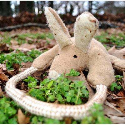 ABO Gear Kangaroo with Rope Dog Toy