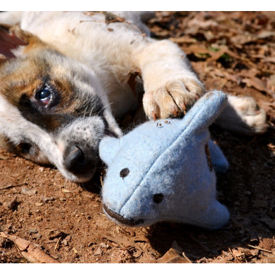 ABO Gear Bottlenose Dolphin Dog Toy