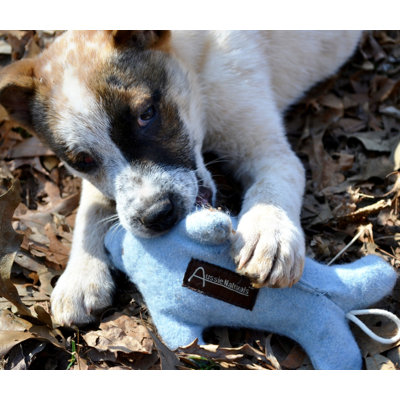 ABO Gear Bottlenose Dolphin Dog Toy