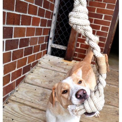 ABO Gear Knotted Braided Dog Toy