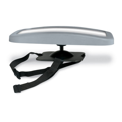 Britax Backseat Mirror