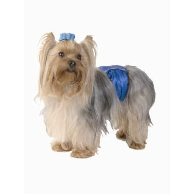 Max's Closet Belly Bands Dog Diapers
