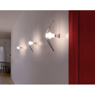 Absolut Lighting Wall Light with Stainless Steel Lampshade