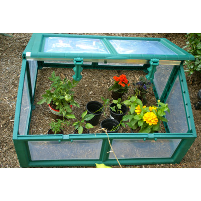 Riverstone Industries Genesis Polycarbonate Cold Frame Greenhouse