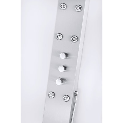 Aston Global Dual Function and Diveter Shower Panel with Six Body Jets