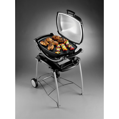 Weber Q 140 Electric Grill