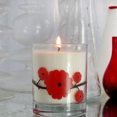 Crash Binth Luscious Soy Candle