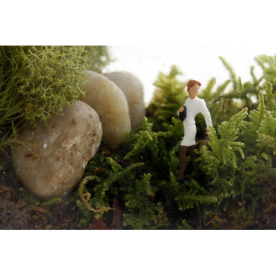 Twig Terrariums Tropisma Female DIY Kit
