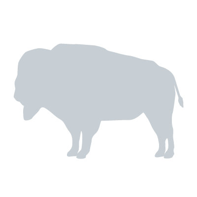 Avalisa Silhouette - Buffalo Stretched Wall Art