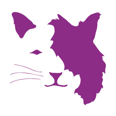 Avalisa Animal Face - Cat Stretched Wall Art