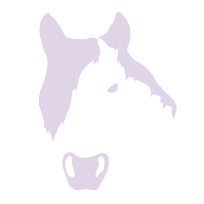 Avalisa Animal Face - Horse Stretched Wall Art