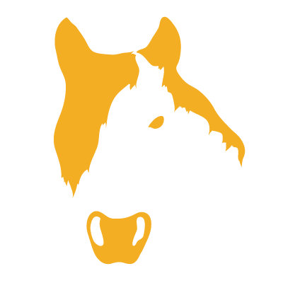 Avalisa Animal Face - Horse Stretched Wall Art
