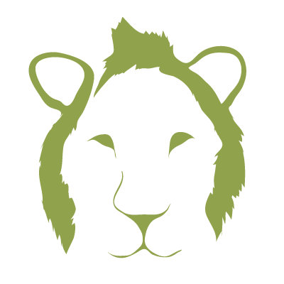 Avalisa Animal Face - Lion Stretched Wall Art