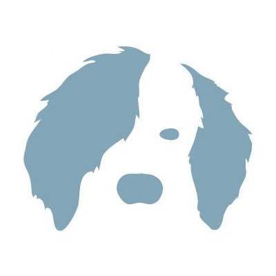 Avalisa Animal Face - Dog Stretched Wall Art