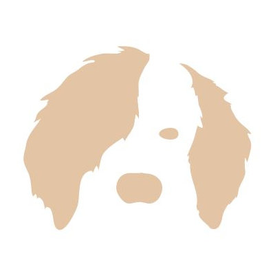 Avalisa Animal Face - Dog Stretched Wall Art