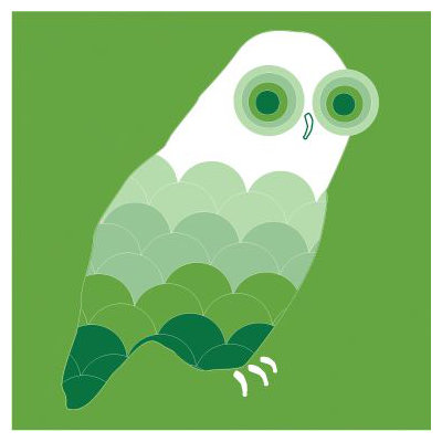 Avalisa Animal - Owl Stretched Wall Art