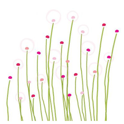 Avalisa Imagination - Dandelion Stretched Wall Art
