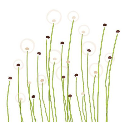 Avalisa Imagination - Dandelion Stretched Wall Art