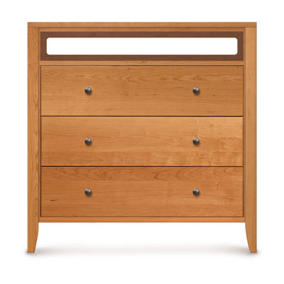 Dominion 3 Drawer Chest with Media Organizer Overhanging Top by Copeland Furniture -image