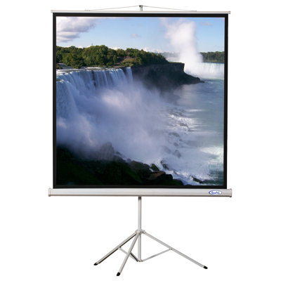 Buhl 50" x 50" Projector Screen - 1:1 Format