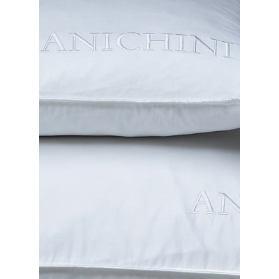 Anichini Gwen Down Pillow (Set of 2)