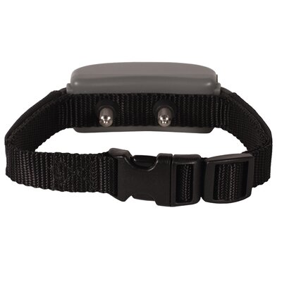 ELECTRIC SHOCK COLLARS FOR DOG TRAINING | EHOW