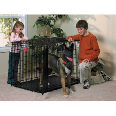 Midwest Homes For Pets Life Stages Fold & Carry Double-Door Dog Crate