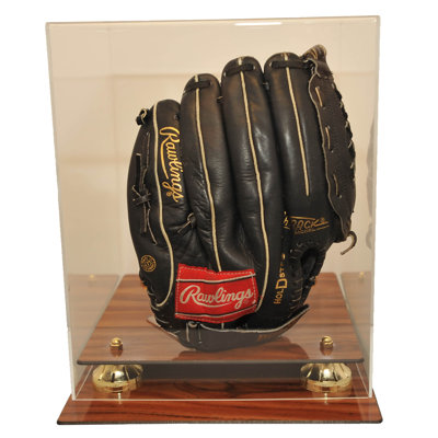 Caseworks International Black Acrylic Glove Display Case