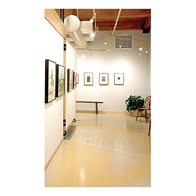 Tech Lighting Cone 1 Light Monorail Pendant