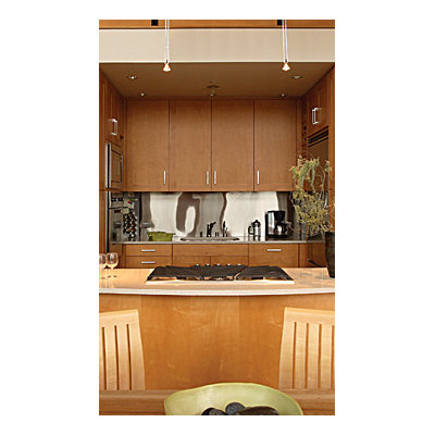 Tech Lighting Tele 1 Light FreeJack Track Head