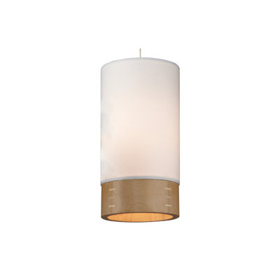 Tech Lighting Topo 1 Light MonoRail Pendant