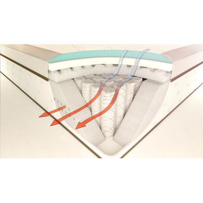 Simmons TruEnergy Ivy Plush Firm Memory Foam Top Mattress