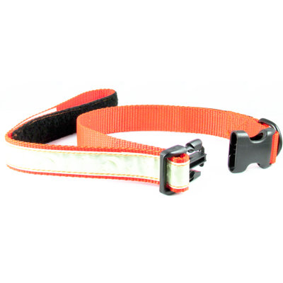 Dog Leash And Collar All In One Co-leash all-in-one collar and Dog Leash And Collar All In One Co-leash all-in-one collar and
