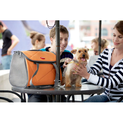 Teafco Argo Pet Avion Medium Airline Approved Carrier in Tango Orange