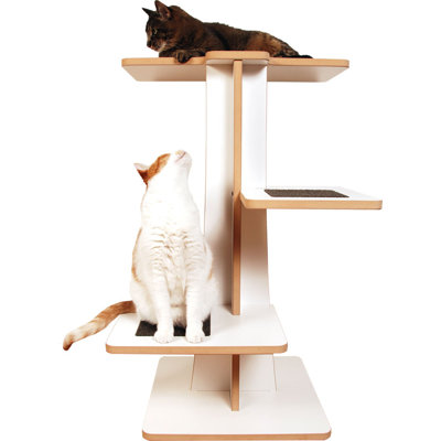 Square Cat Habitat 36" Acacia Cat Tree