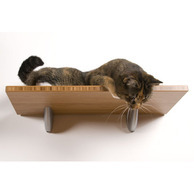 Square Cat Habitat Buddha Wall Perch