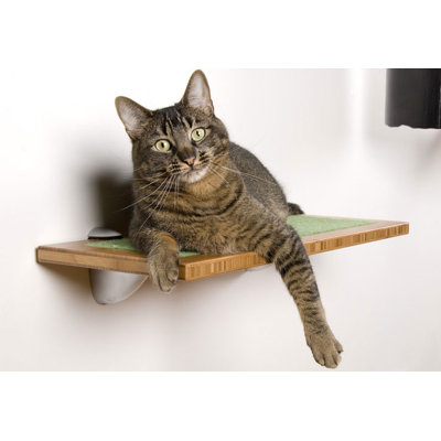 Square Cat Habitat Buddha Wall Perch