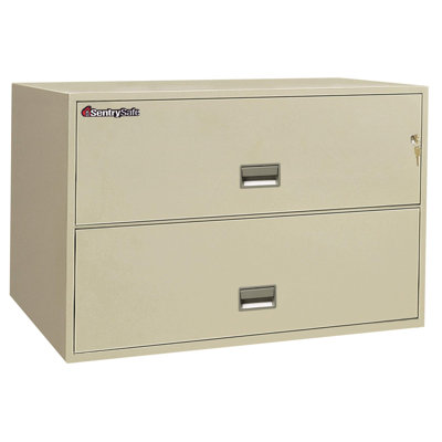 Sentry Safe 1 Hr Fireproof Key Lock 2 Drawer Letter File Safe