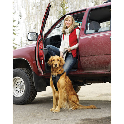 Kurgo Tru-Fit Smart Dog Harness in Black