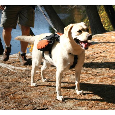 kurgo wander dog backpack