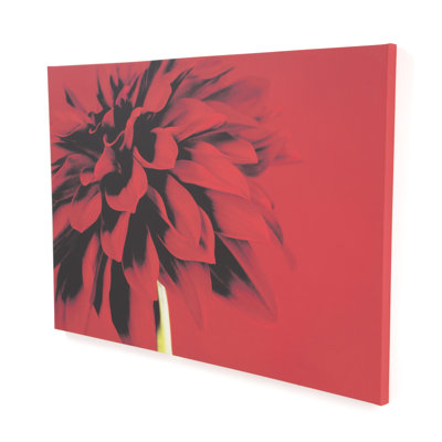 Graham & Brown Red Dahlia Printed Canvas Art - 30" X 40"