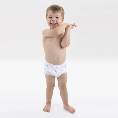 Mom Innovations Potty Training in One Day - The Complete System for Boys with DVD