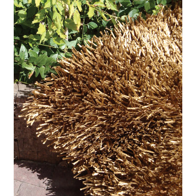 Foreign Accents Elementz Fettuccine Gold Rug