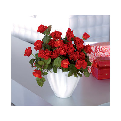 FontanaArte Cartoccio 5.9 Inch Vase