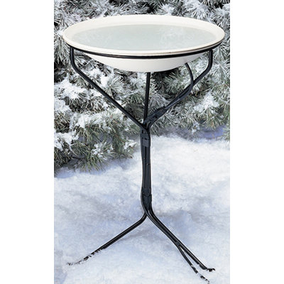 all bird baths wayfair all bird baths wayfair