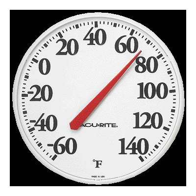Chaney Thermometer Goldfinches II